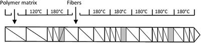 Use of Flow Modeling to Optimize the Twin-Screw Extrusion Process for the Preparation of Lignocellulosic Fiber-Based Composites